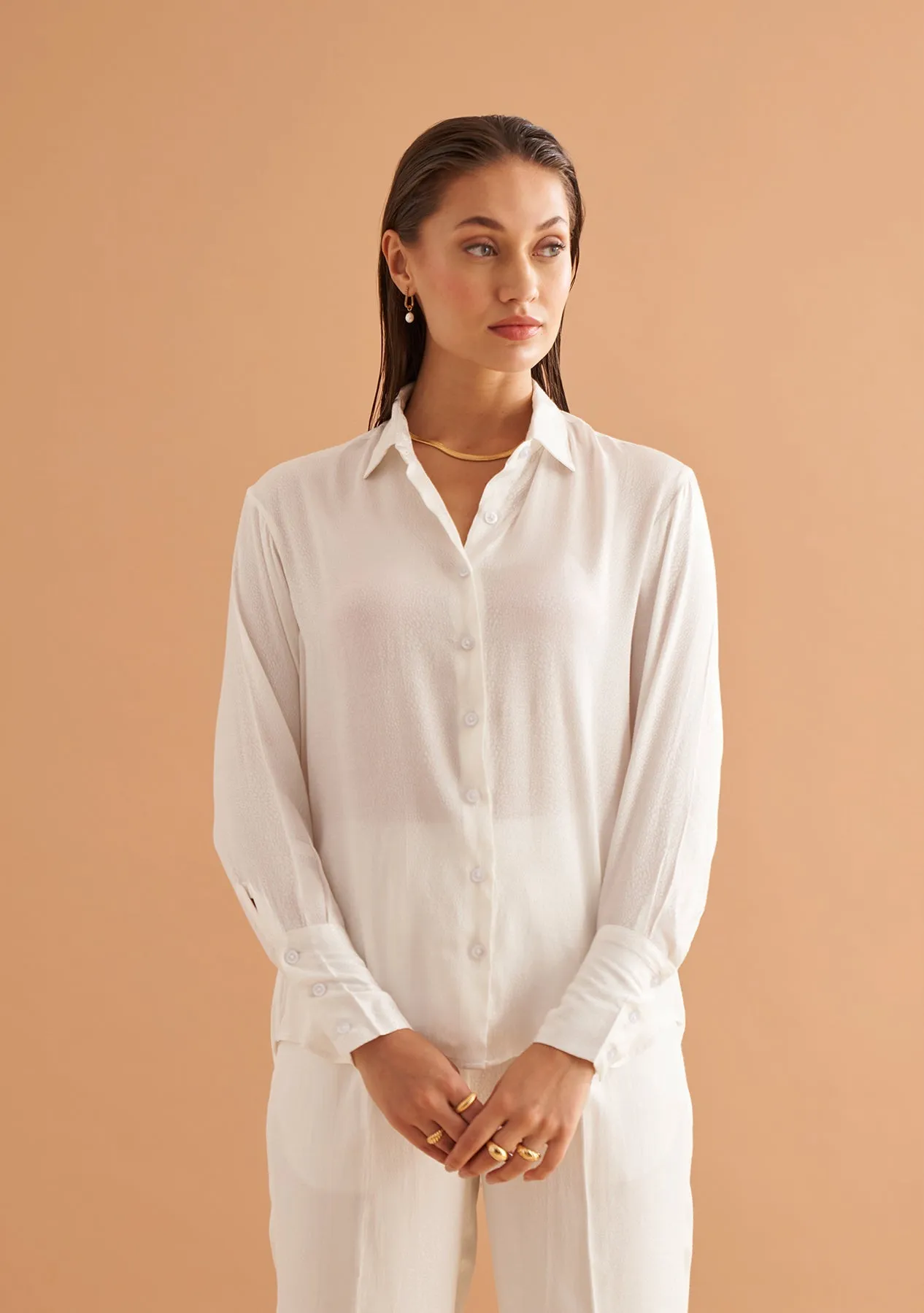 Elegant Solid Regular Long sleeve Shirt