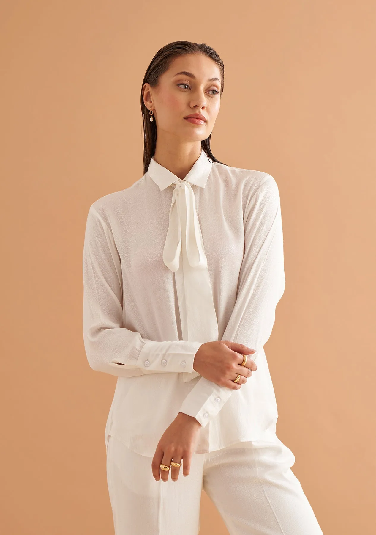 Elegant Solid Regular Long sleeve Shirt