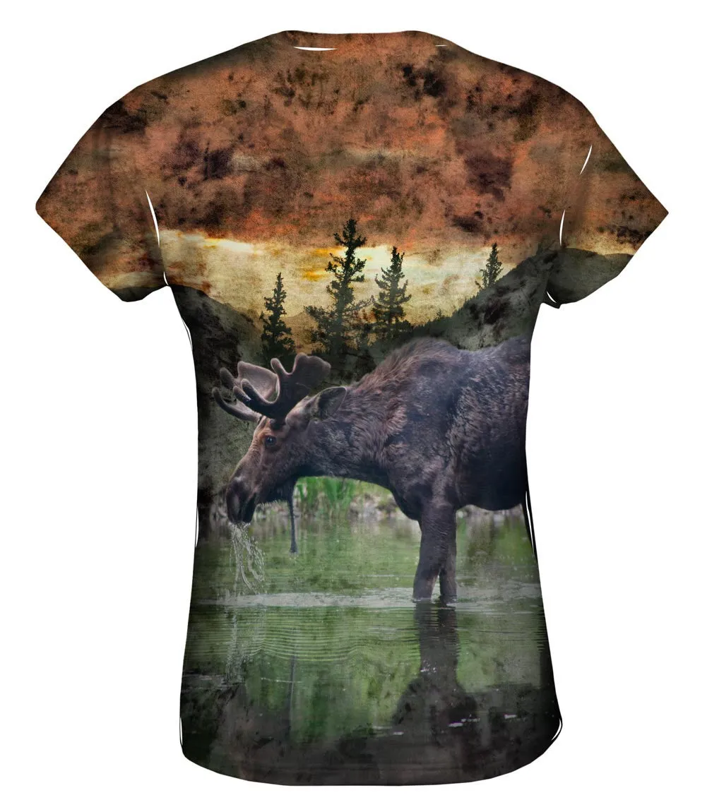 Lake Moose